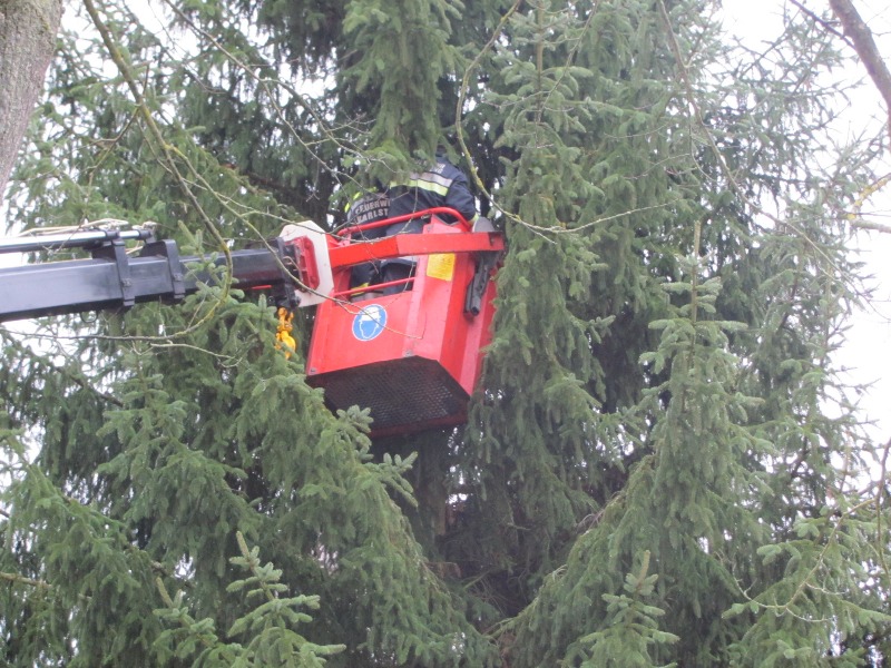 © BFK Waidhofen/Thaya - Stefan Mayer