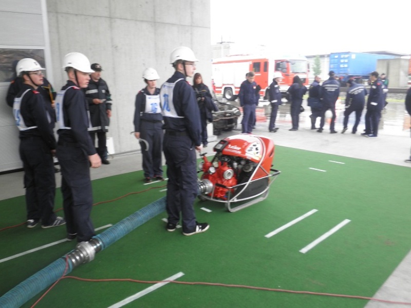 © ARBA FJ - Leander Hanko