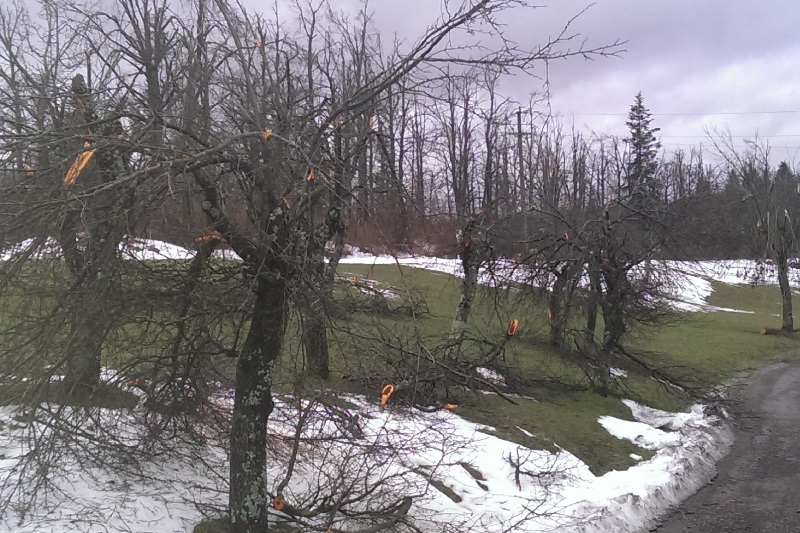 © FF Dobersberg - Harald Tuna