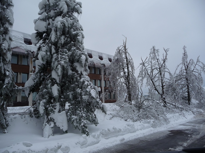 © FF Dobersberg - Franz Eggenhofer