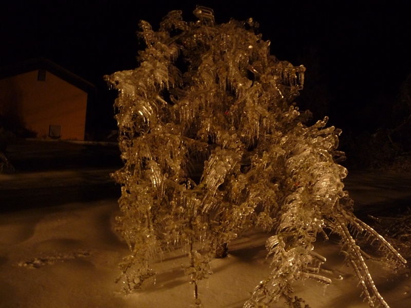 © FF Dobersberg - Franz Eggenhofer