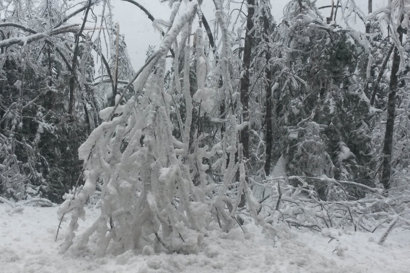 © FF Kautzen - Harald Blei