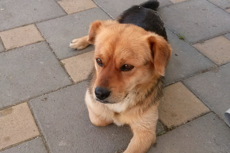 © NÖ Versorgungsdienst - Herbert Schawel