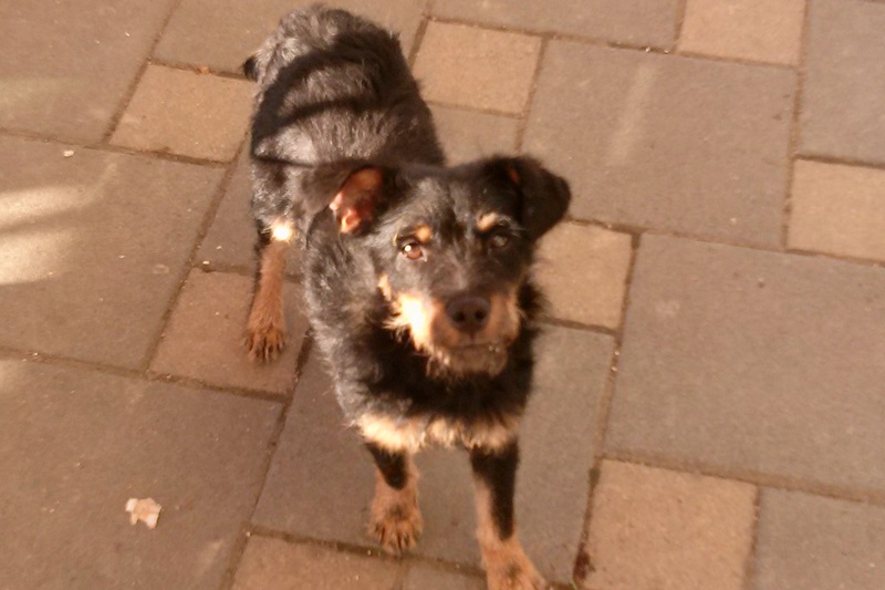 © NÖ Versorgungsdienst - Herbert Schawel