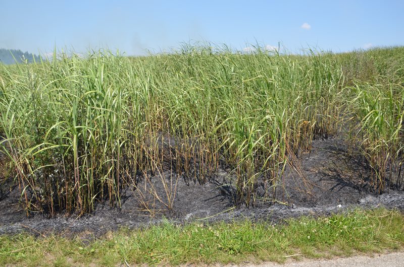 © BFK Waidhofen/Thaya - Stefan Mayer