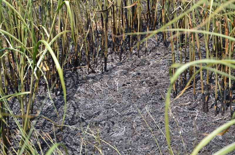 © BFK Waidhofen/Thaya - Stefan Mayer