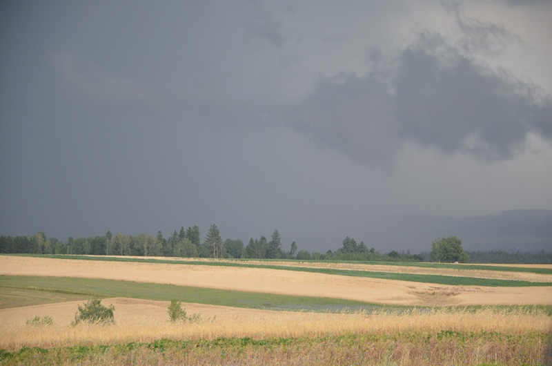 © BFK Waidhofen/Thaya - Stefan Mayer