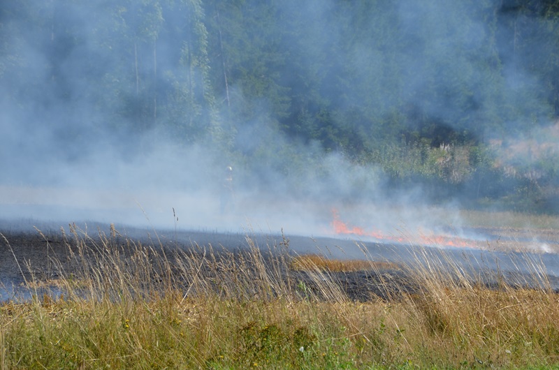 © BFK Waidhofen/Thaya - Stefan Mayer
