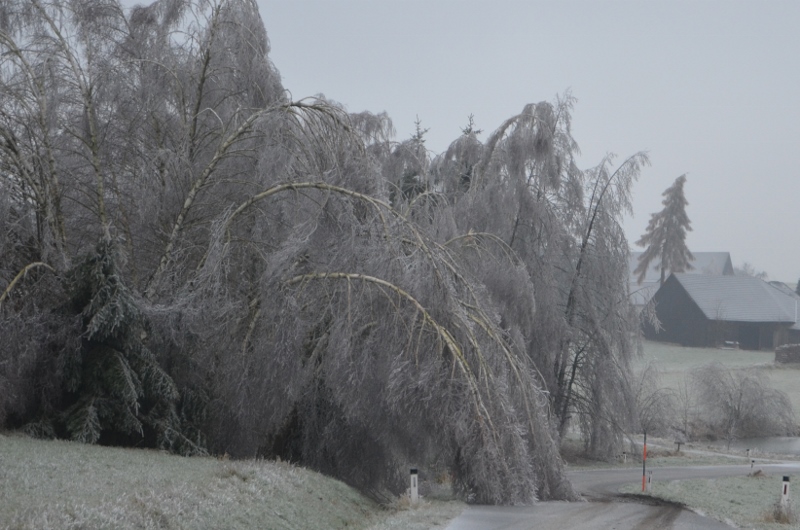 © BFK Waidhofen/Thaya - Stefan Mayer