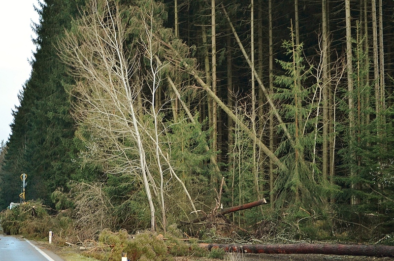 © BFK Waidhofen/Thaya - Stefan Mayer
