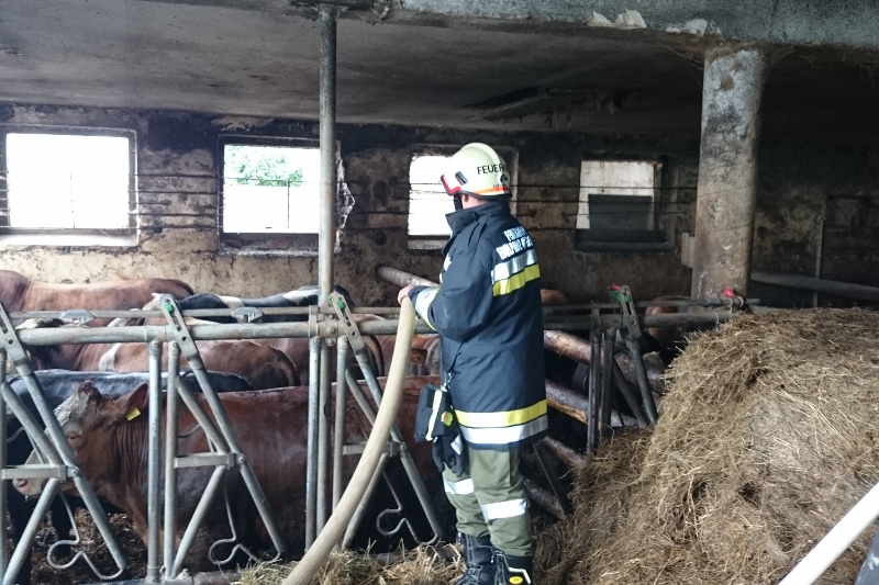 © BFK Waidhofen/Thaya - Stefan Mayer