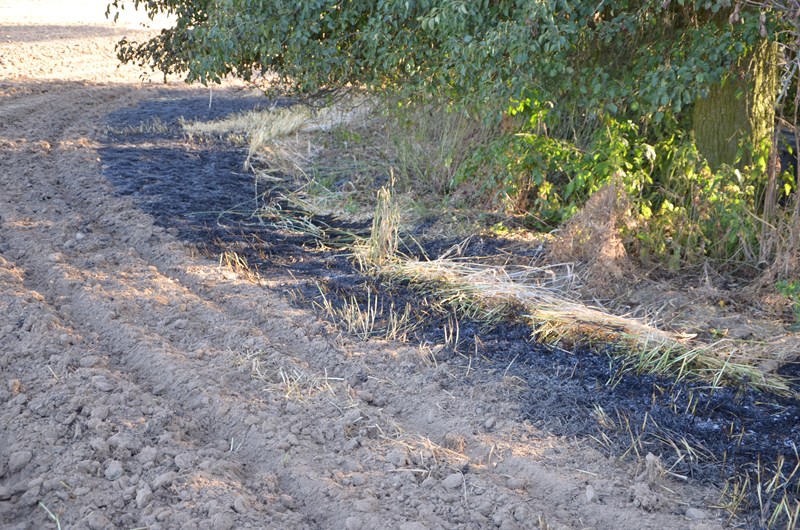 © BFK Waidhofen/Thaya - Stefan Mayer