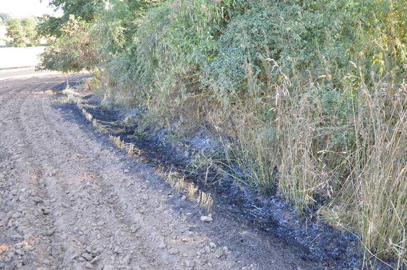 © BFK Waidhofen/Thaya - Stefan Mayer