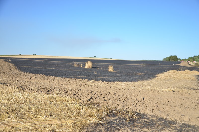 © BFK Waidhofen/Thaya - Stefan Mayer