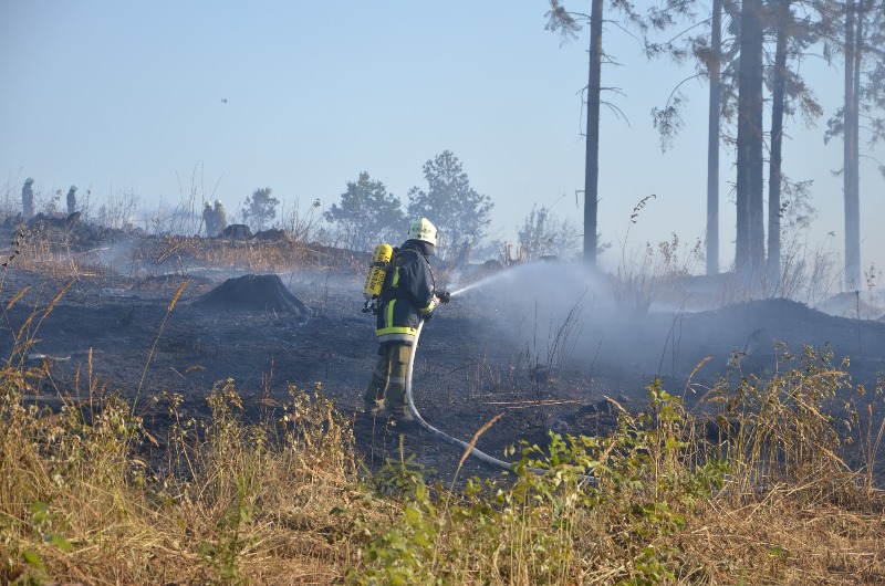 © BFK Waidhofen a. d. Thaya / Stefan Mayer