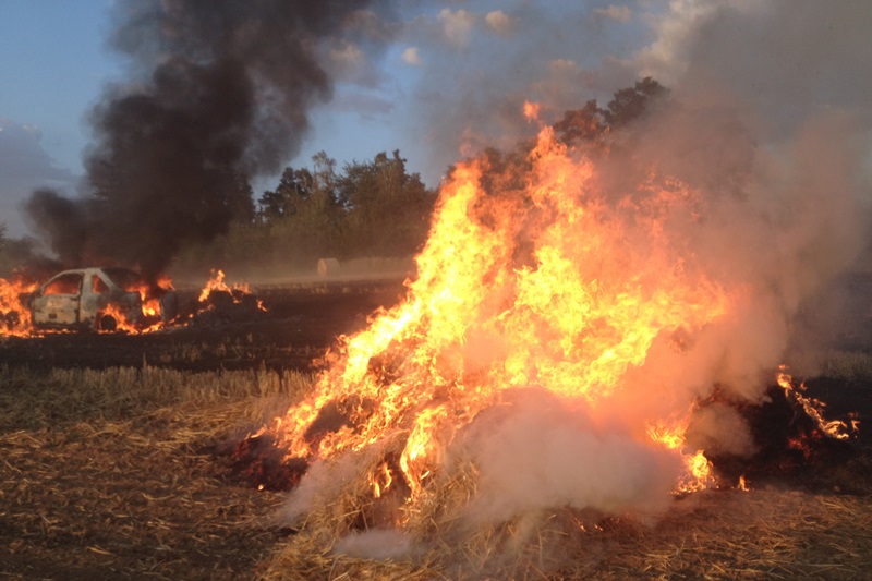© BFK Waidhofen/Thaya - Manfred Damberger