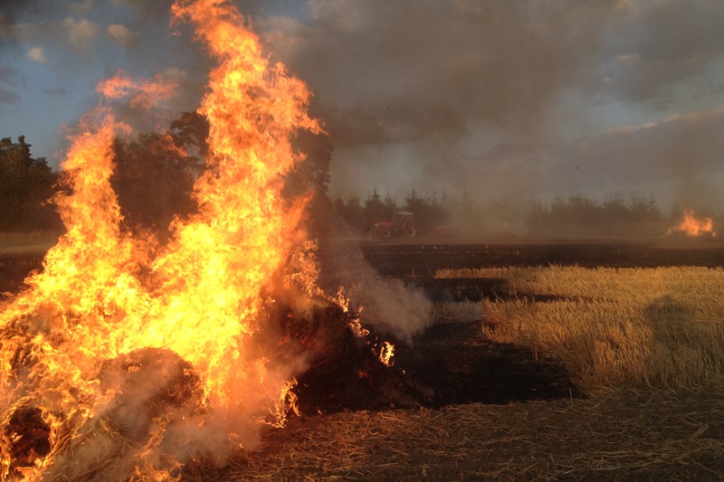© BFK Waidhofen/Thaya - Manfred Damberger
