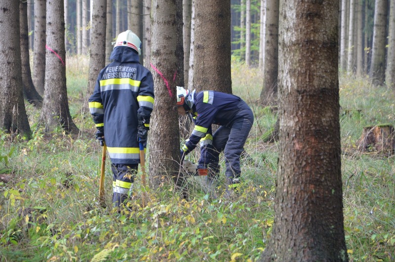 © BFK Waidhofen a. d. Thaya / Stefan Mayer