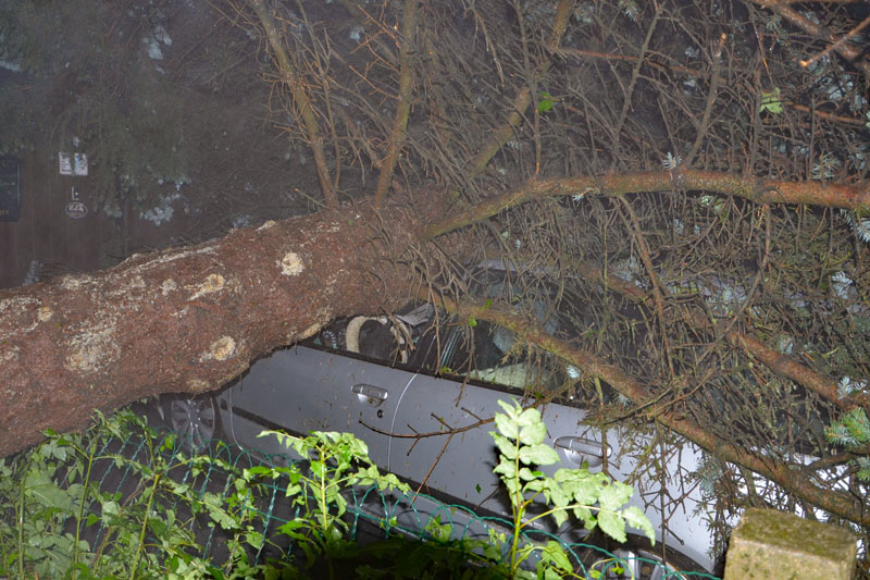 © BFK Waidhofen a. d. Thaya / Stefan Mayer