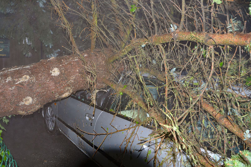 © BFK Waidhofen a. d. Thaya / Stefan Mayer