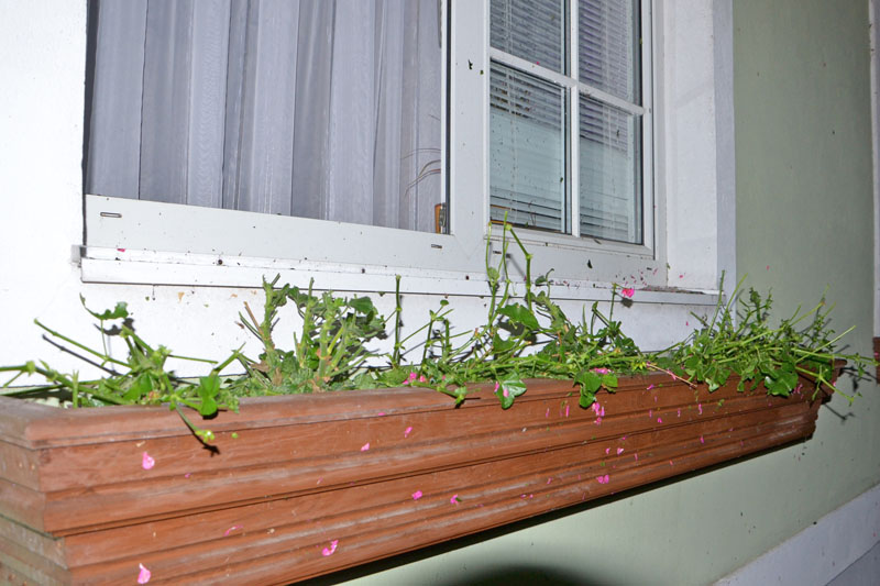 © BFK Waidhofen a. d. Thaya / Stefan Mayer