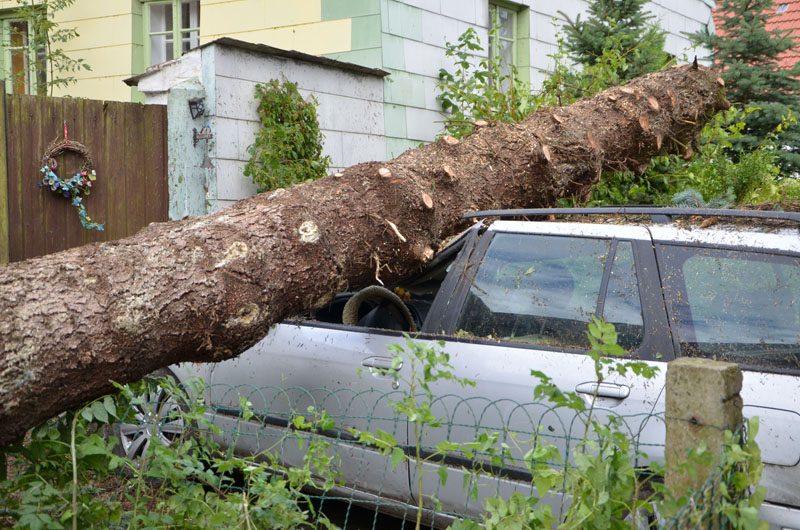 © BFK Waidhofen a. d. Thaya / Stefan Mayer