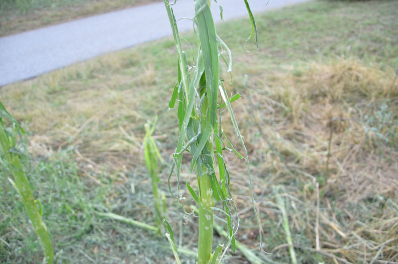 © BFK Waidhofen a. d. Thaya / Stefan Mayer