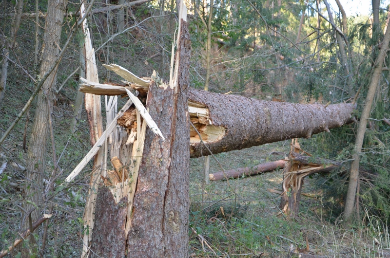 © BFK Waidhofen a. d. Thaya / Stefan Mayer