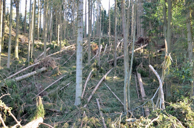 © BFK Waidhofen a. d. Thaya / Stefan Mayer