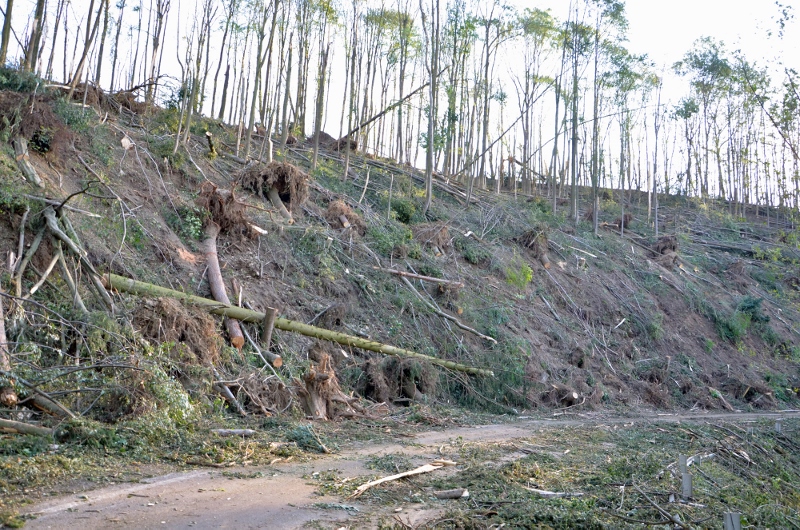 © BFK Waidhofen a. d. Thaya / Stefan Mayer