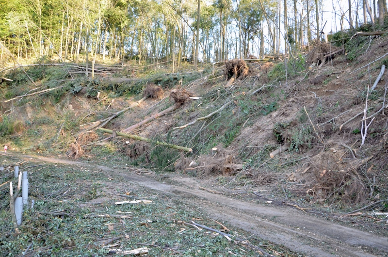 © BFK Waidhofen a. d. Thaya / Stefan Mayer