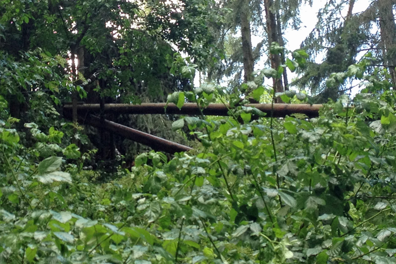 © AFK Raabs / M. Litschauer