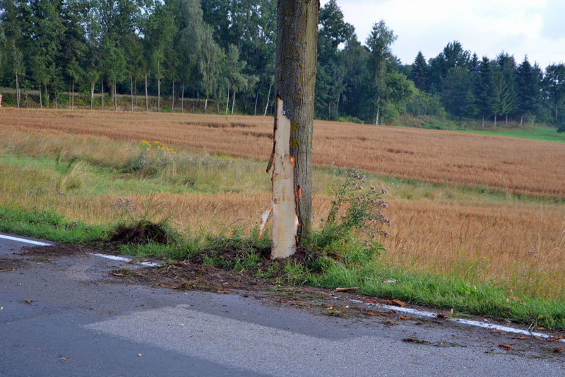 © BFK Waidhofen a. d. Thaya / Stefan Mayer