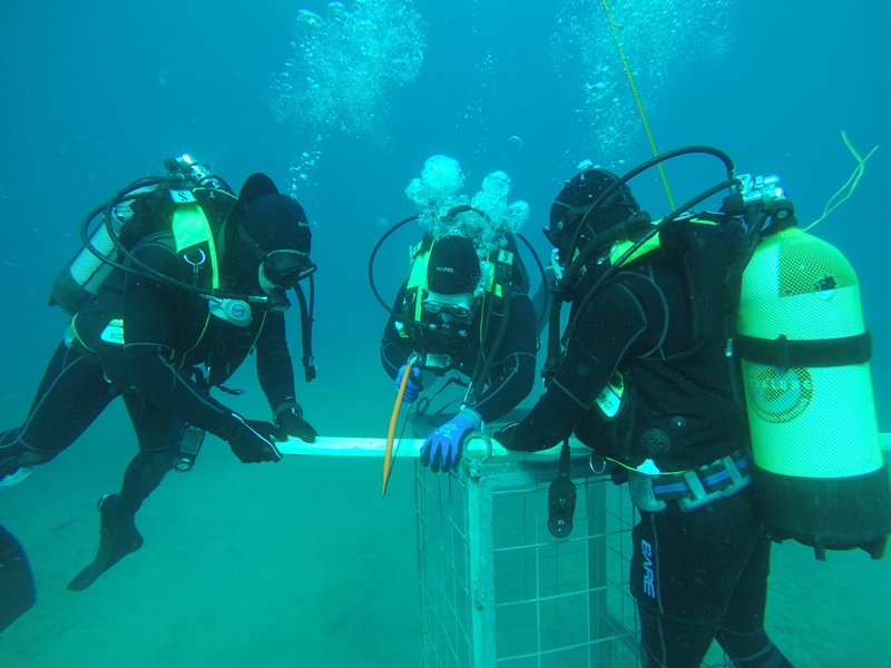 © NÖ Feuerwehr-Tauchdienst