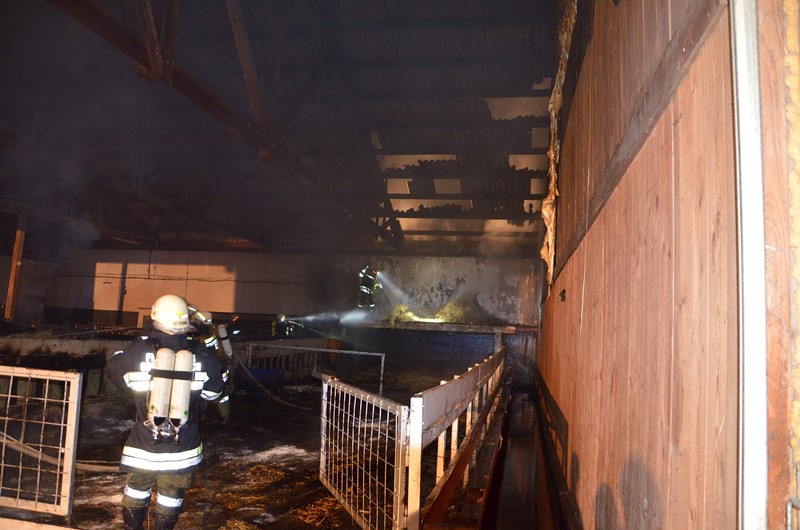 © BFK Waidhofen an der Thaya / Stefan Mayer