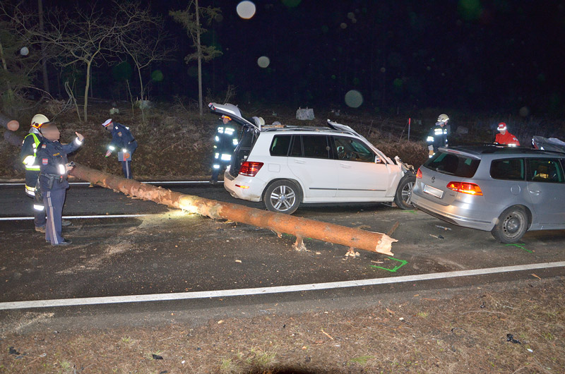 © BFK Waidhofen an der Thaya / Stefan Mayer