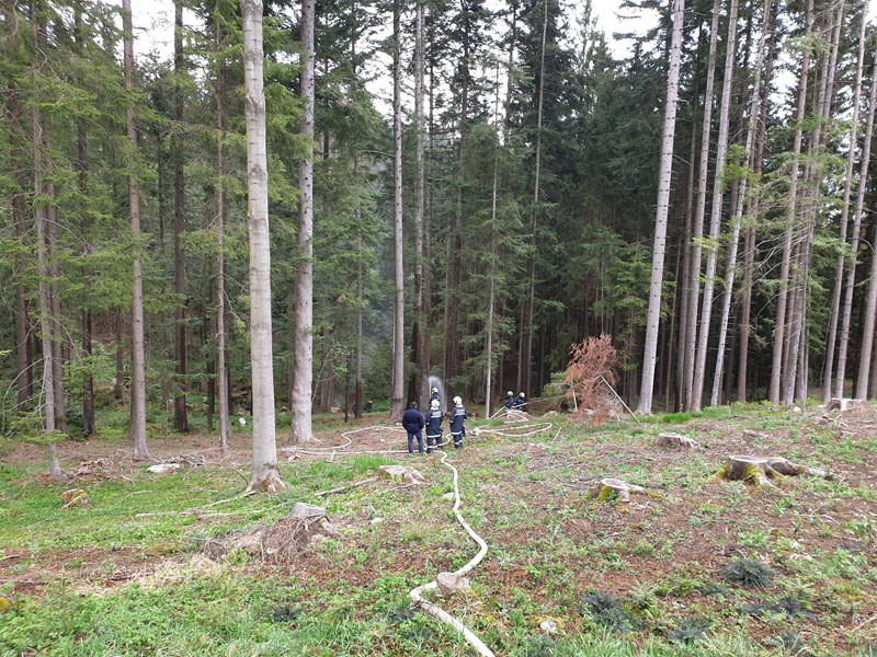 © BFK Waidhofen a. d. Thaya / Manfred Damberger