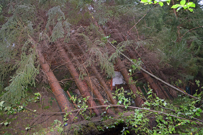 © BFK Waidhofen an der Thaya / Stefan Mayer