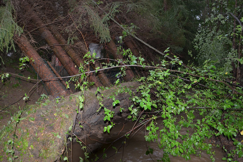 © BFK Waidhofen an der Thaya / Stefan Mayer