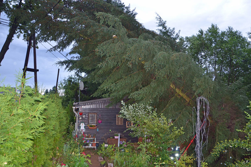 © BFK Waidhofen an der Thaya / Stefan Mayer