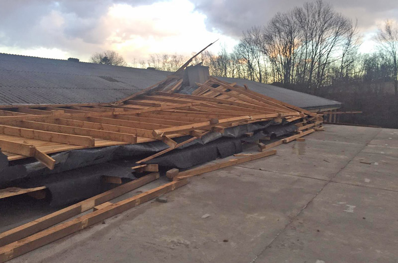 FF Groß-Siegharts-Stadt / B. Wesely