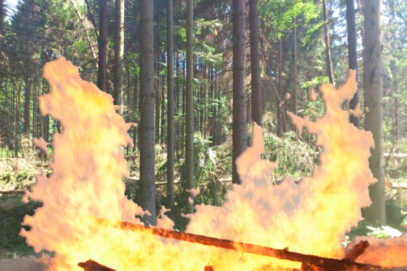 symbolbild | © BFK Waidhofen an der Thaya / Stefan Mayer