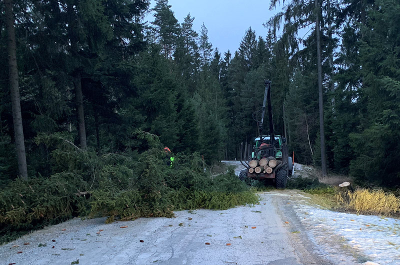 © BFK Waidhofen an der Thaya / Stefan Mayer