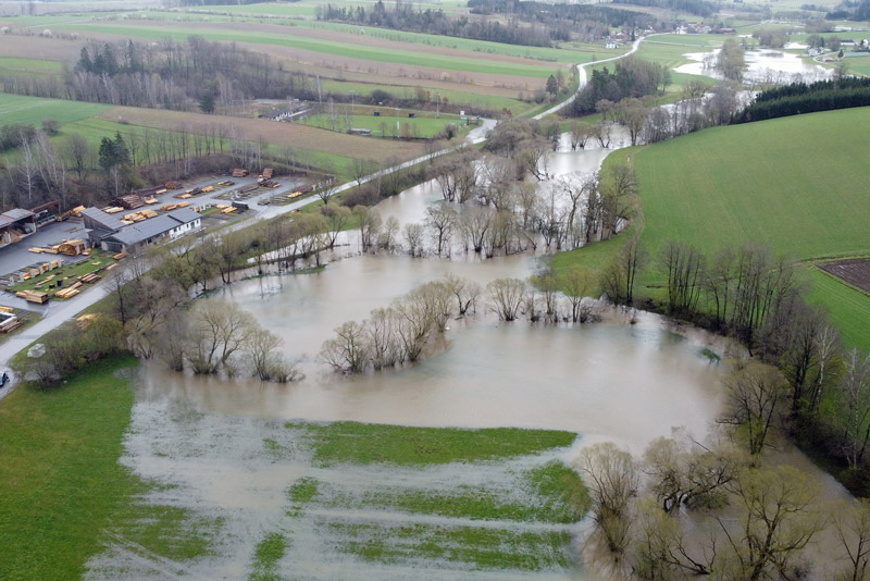© BFK Waidhofen an der Thaya / Stefan Mayer | Der Thauabach kurz vor Windigsteig