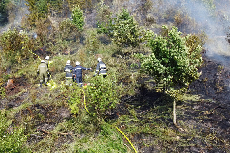 © BFK Waidhofen an der Thaya / Stefan Mayer